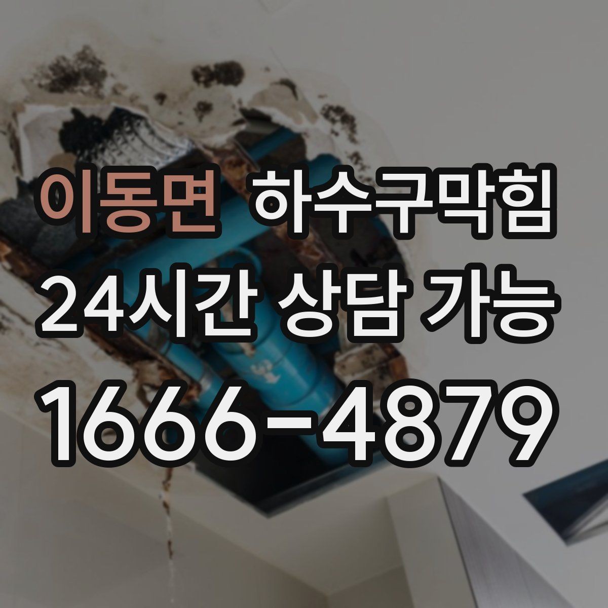 이동면 하수구막힘 다가구 화장실막힘이 우편함 앞에서 들린 이야기