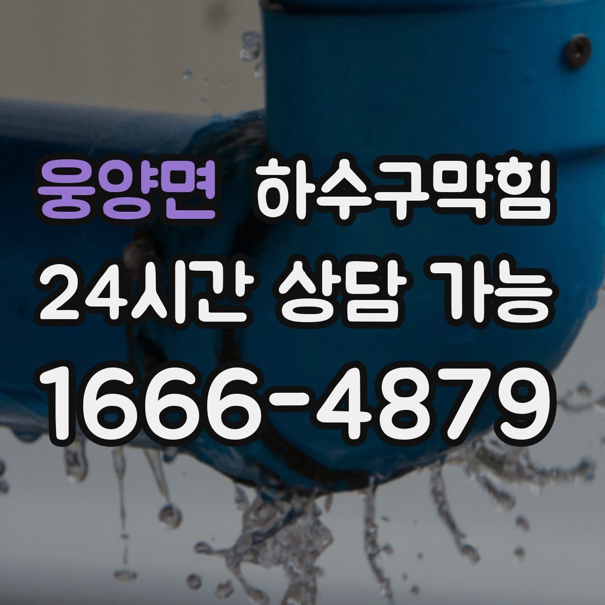 웅양면 하수구막힘