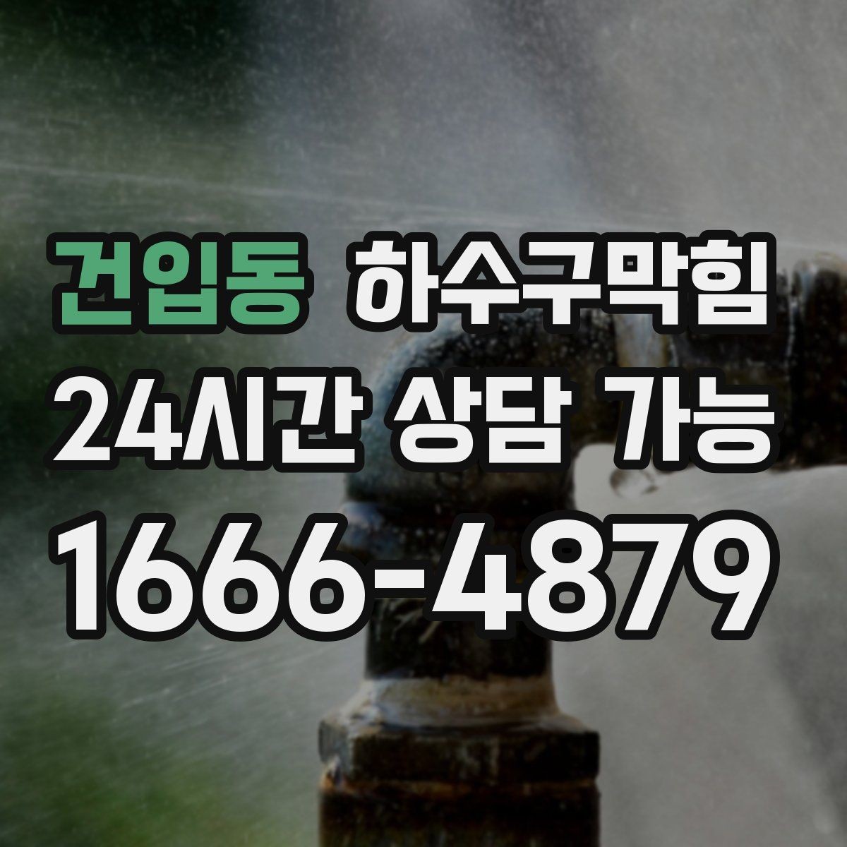 건입동 하수구막힘 식당 변기막힘이 테이블 회전을 멈춘 순간