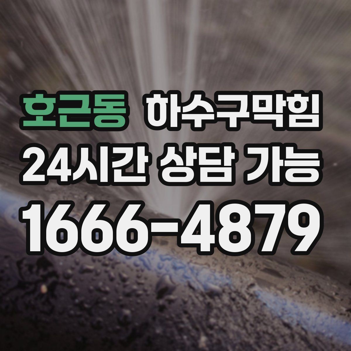 호근동 하수구막힘 지하 사무실 카펫 냄새 해결 접근