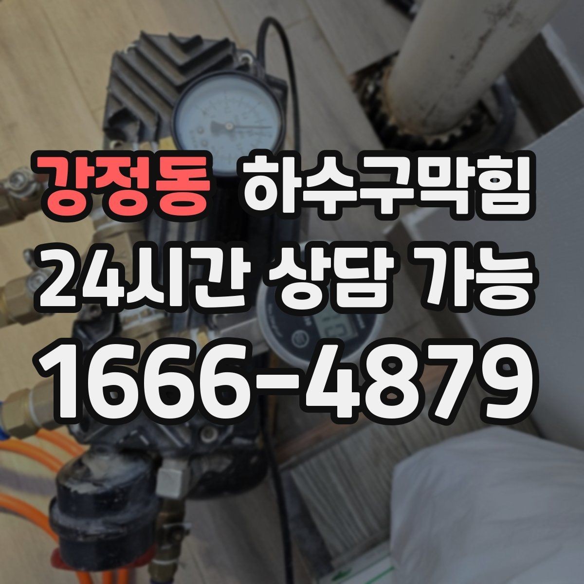 강정동 하수구막힘 카페 디저트 존 냄새 이슈 다루기
