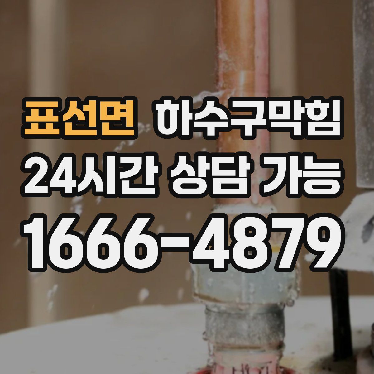 표선면 하수구막힘