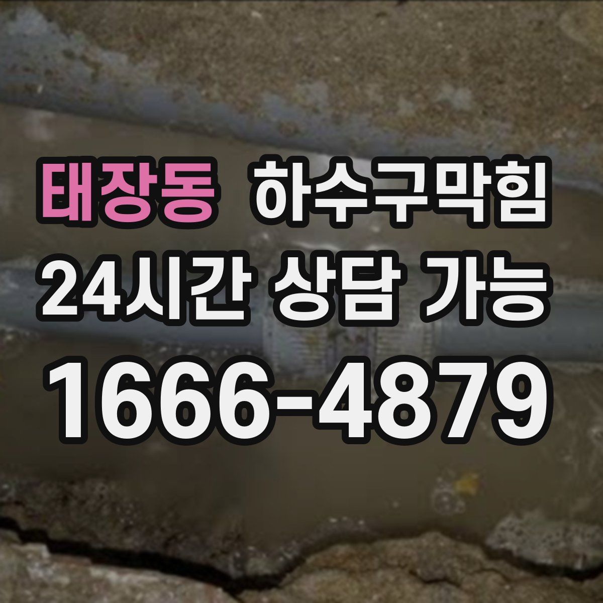 태장동 하수구막힘