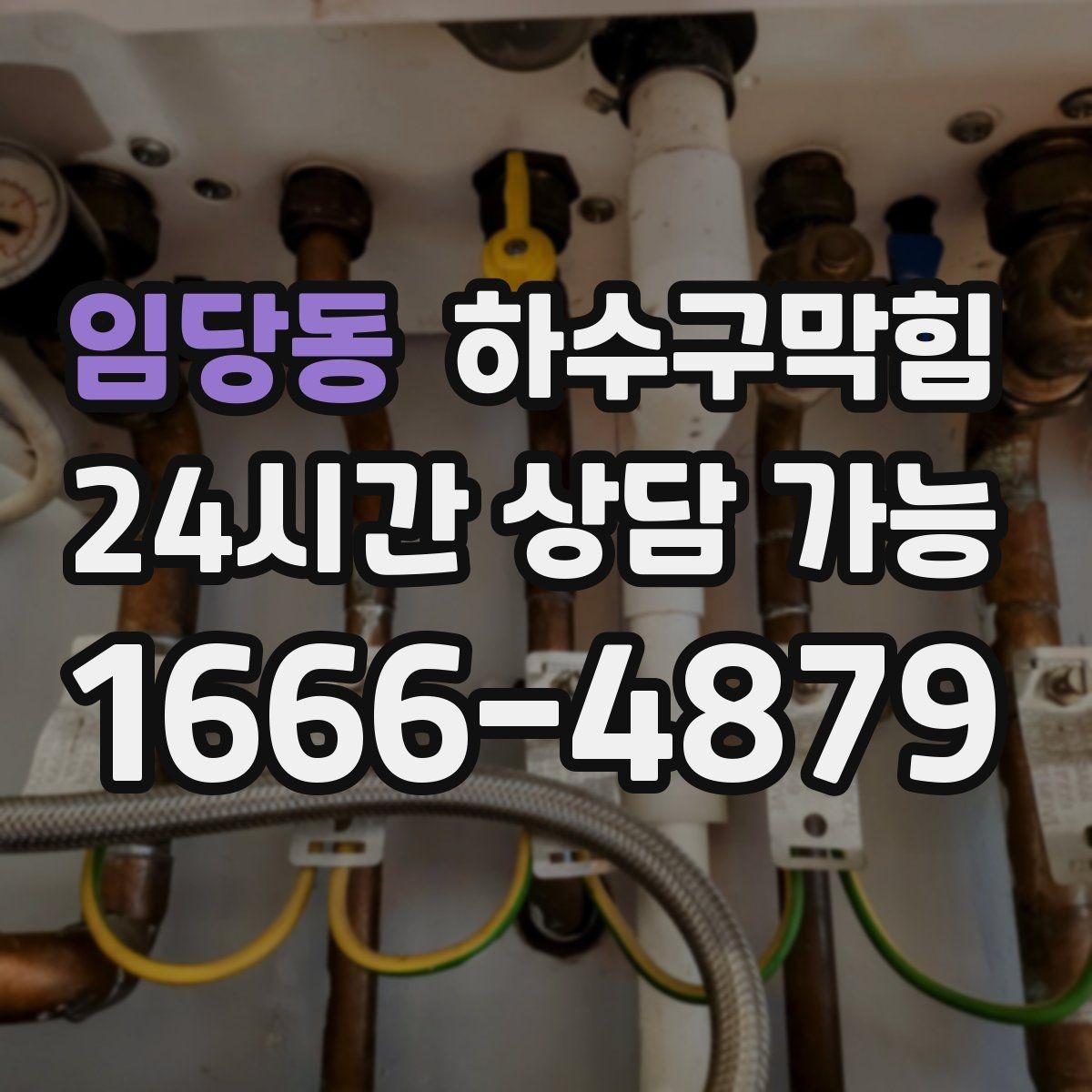 임당동 하수구막힘 상가 주말 피크 대비 사전 정비