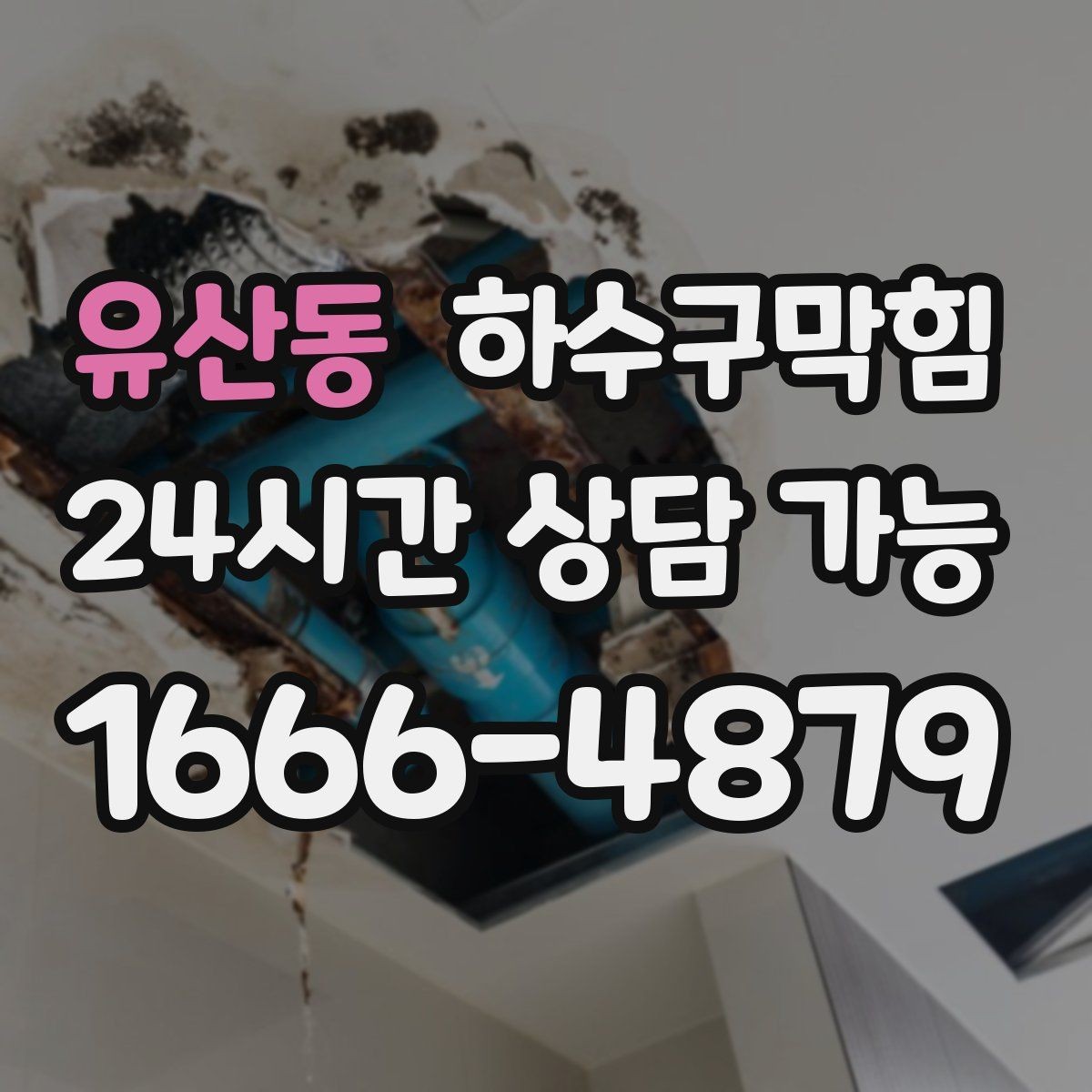 유산동 하수구막힘 주방 벽면 타일 사이 그늘의 냄새