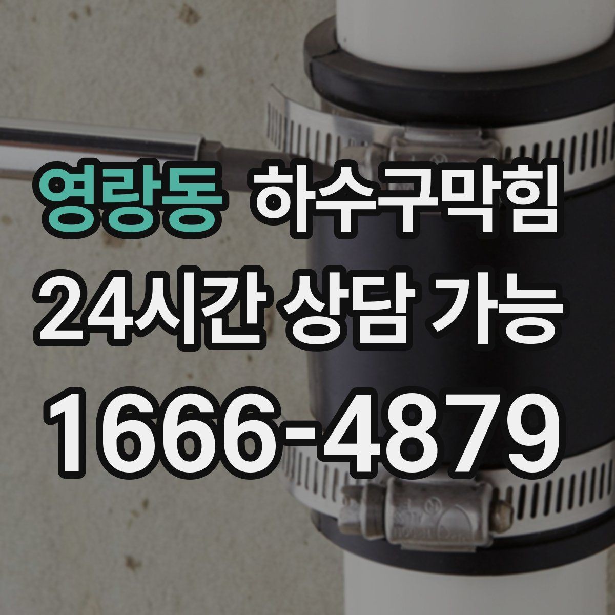 영랑동 하수구막힘 트랩 망 설치로 벌레 유입 차단