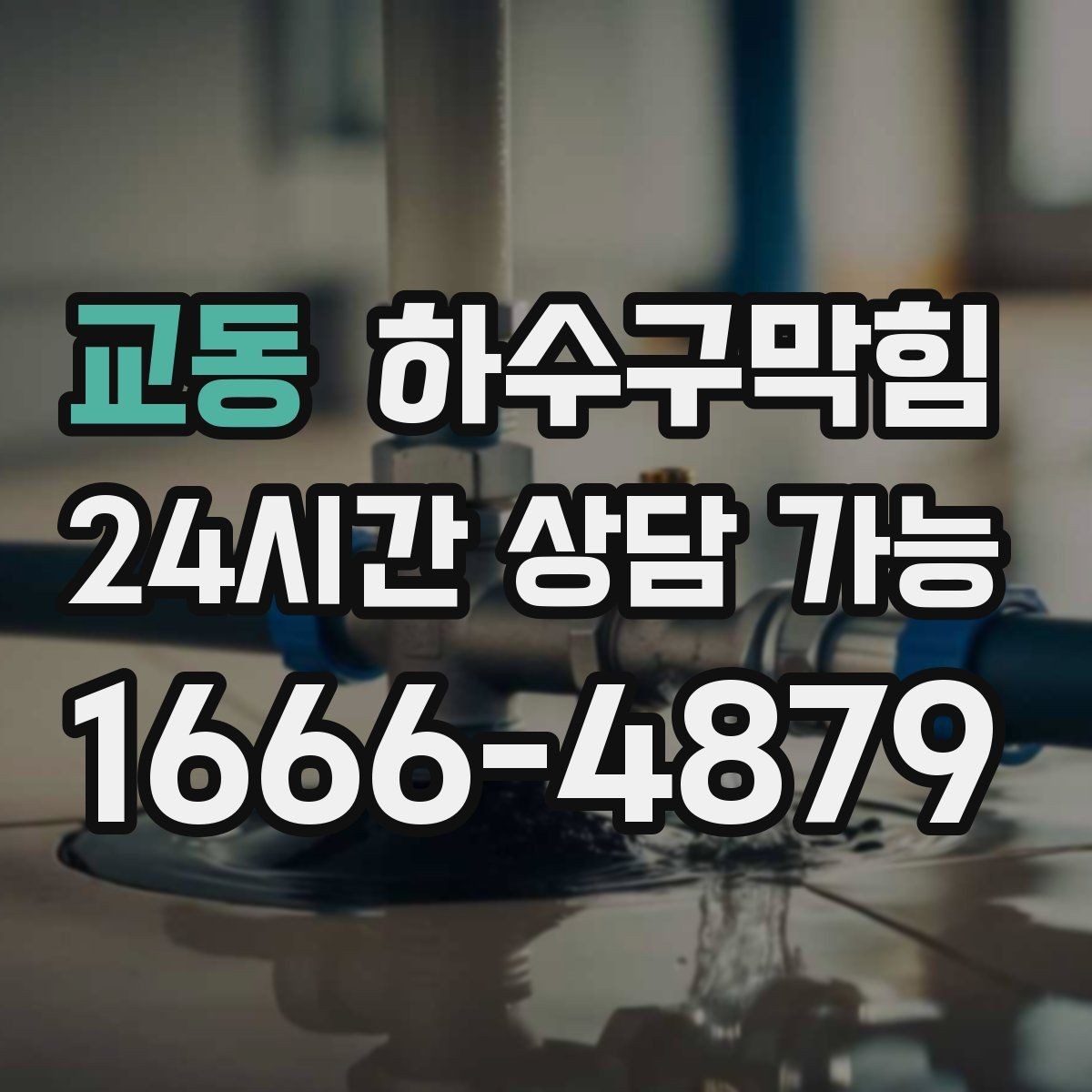 교동 하수구막힘 미스트 분사기 곁에 남은 의문