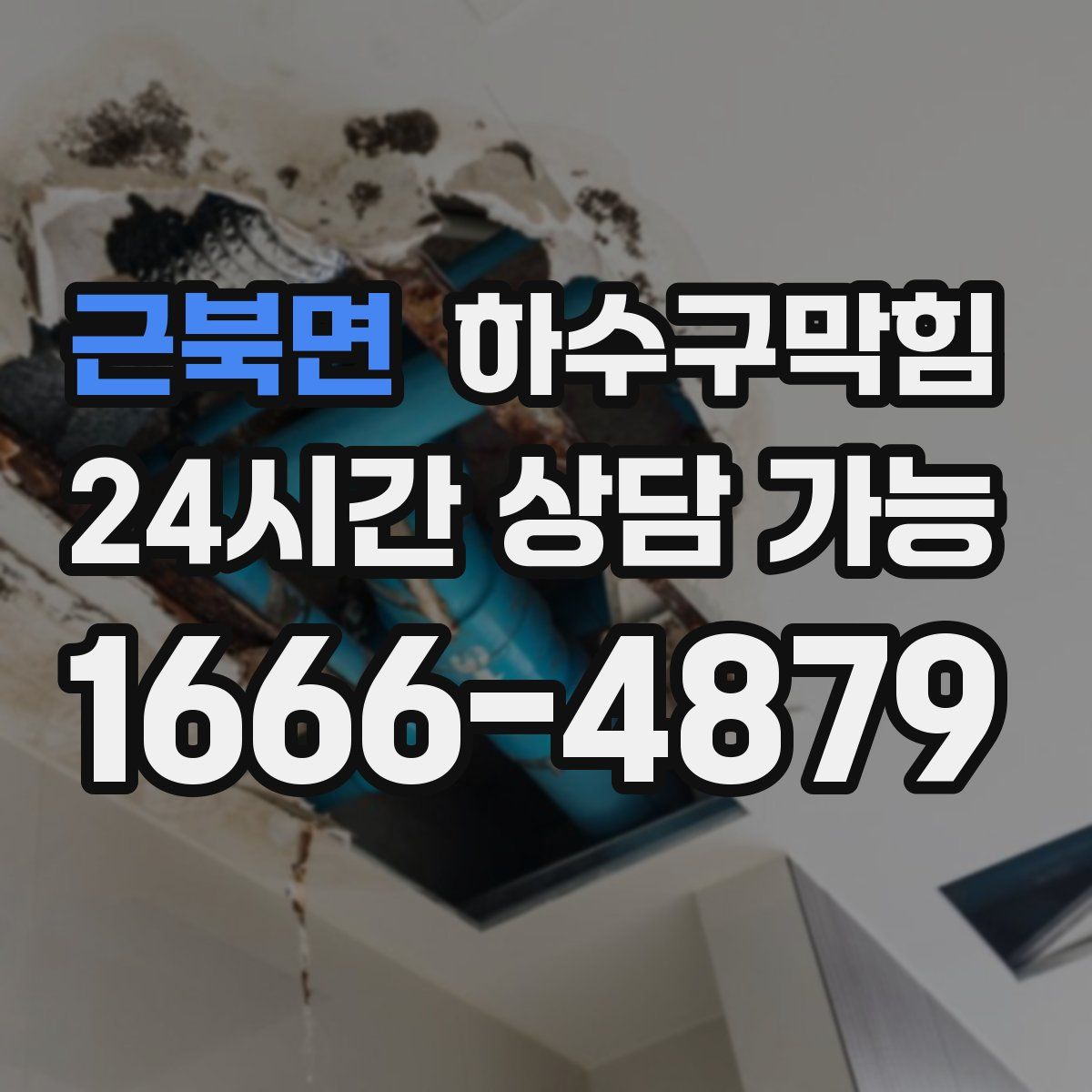 근북면 하수구막힘