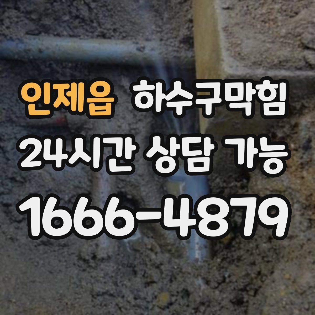 인제읍 하수구막힘 경유지 다수 매장 동시 점검