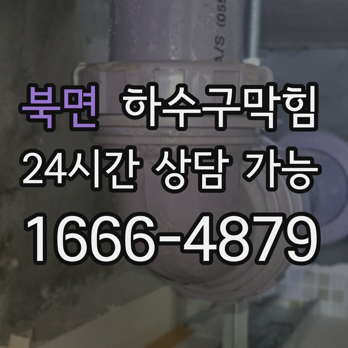 북면 하수구막힘 공용 프린터실에 머문 잔향의 출처