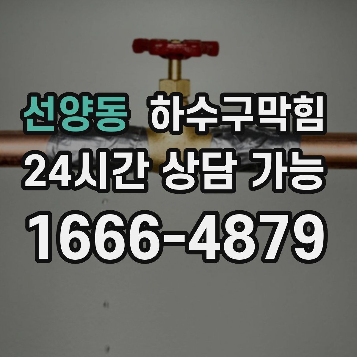 선양동 하수구막힘 아파트 화장실뚫기로 되찾은 주말 아침