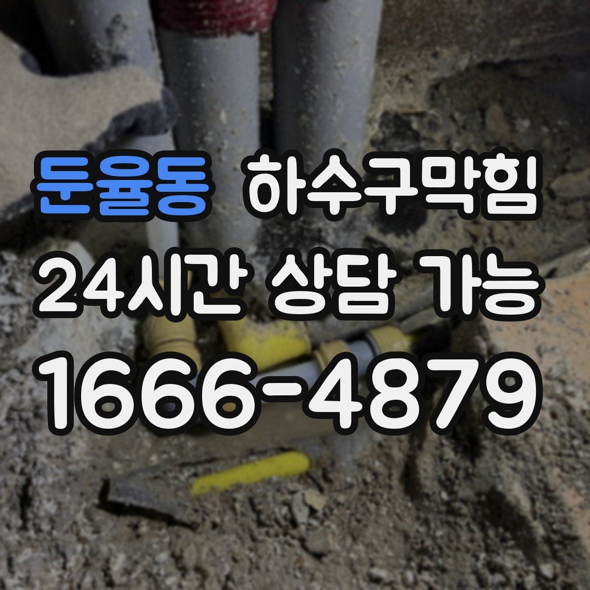 둔율동 하수구막힘 반려동물 집 근처에 모인 작은 단서