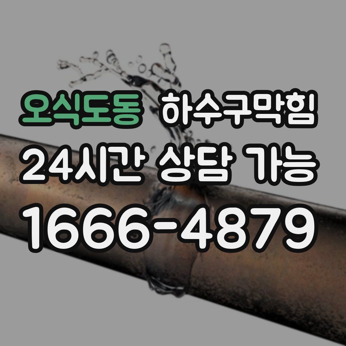 오식도동 하수구막힘 식당 배수구막힘으로 주방 동선이 좁아진 날