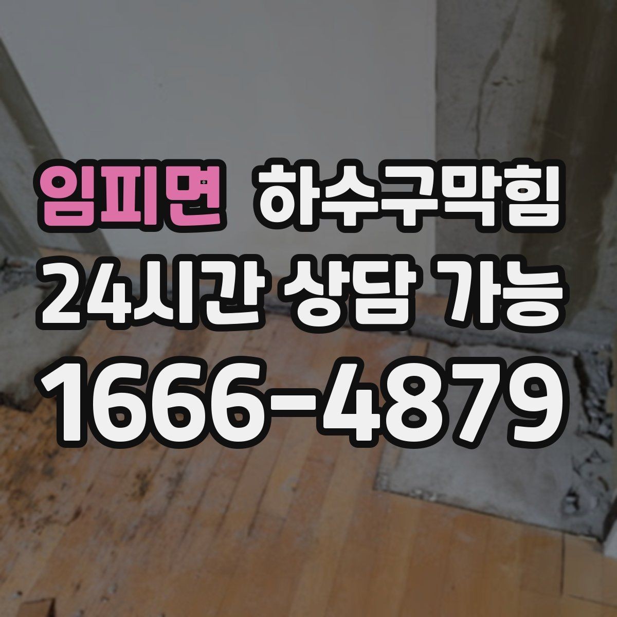 임피면 하수구막힘 캣타워 아래 모인 물자국의 의미