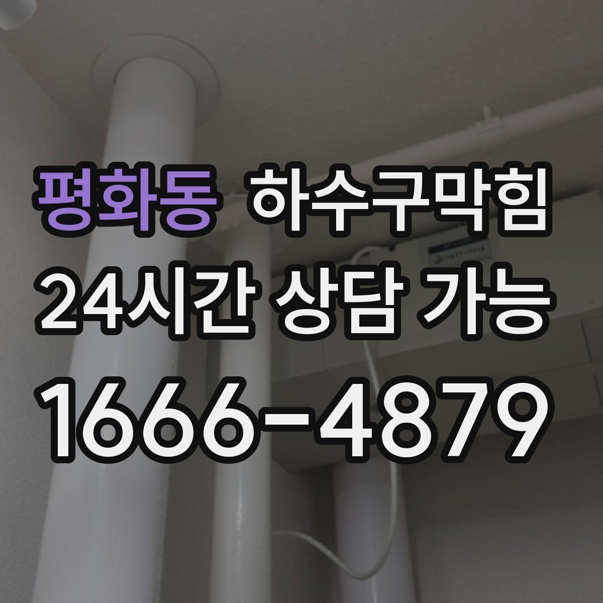 평화동 하수구막힘 공용 전등 스위치 근처 축축했던 손끝