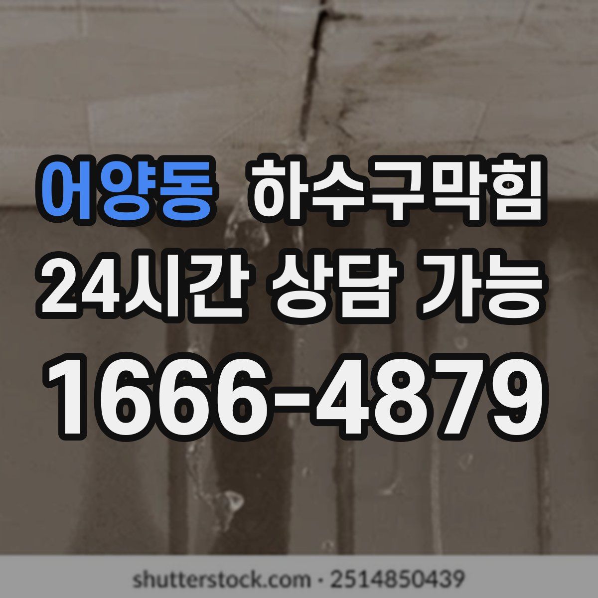 어양동 하수구막힘