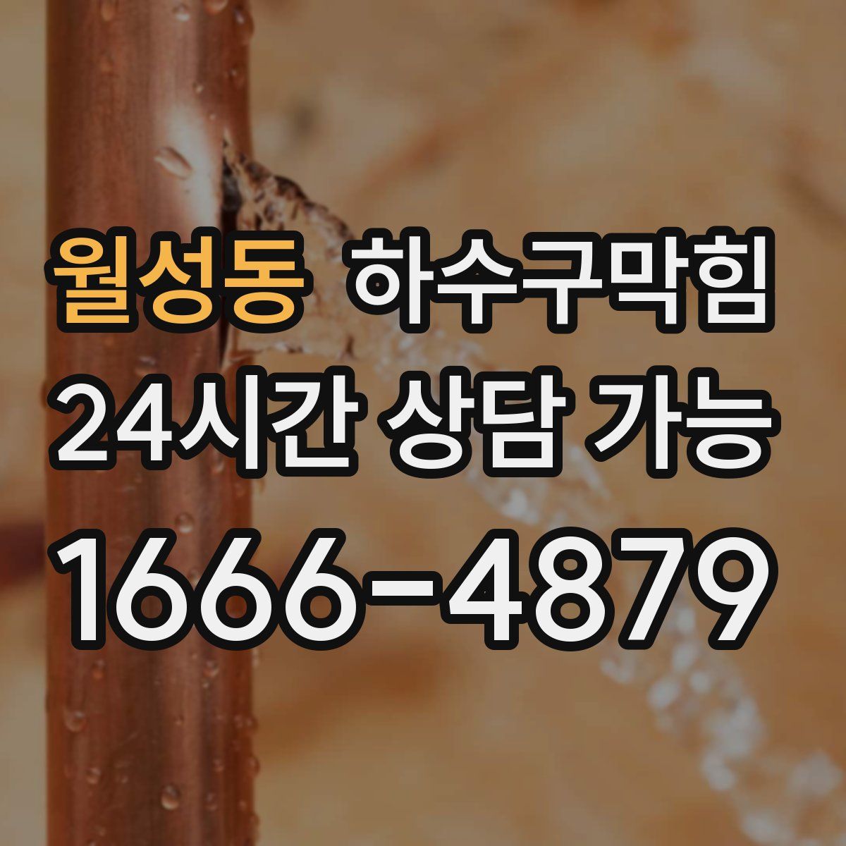 월성동 하수구막힘