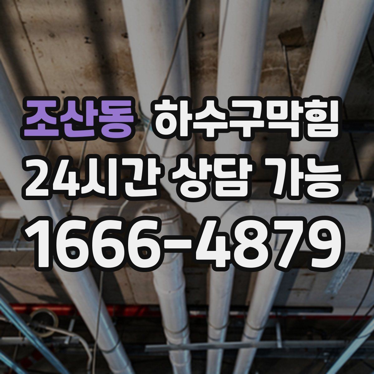 조산동 하수구막힘 반사경 아래 그늘에서 먼저 감지된 변화