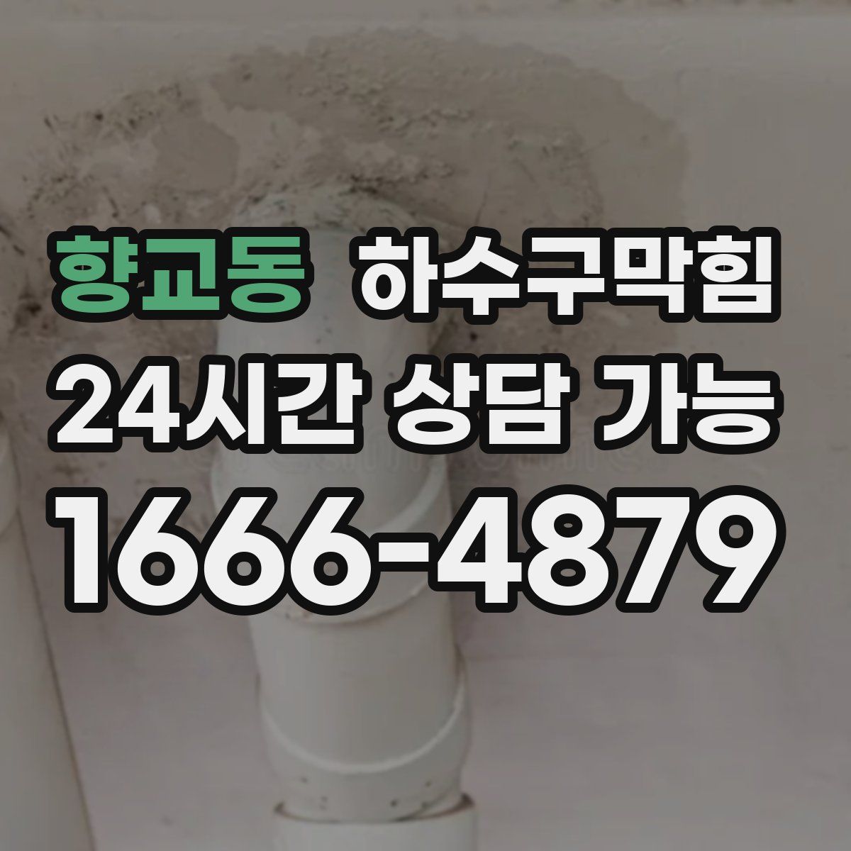 향교동 하수구막힘