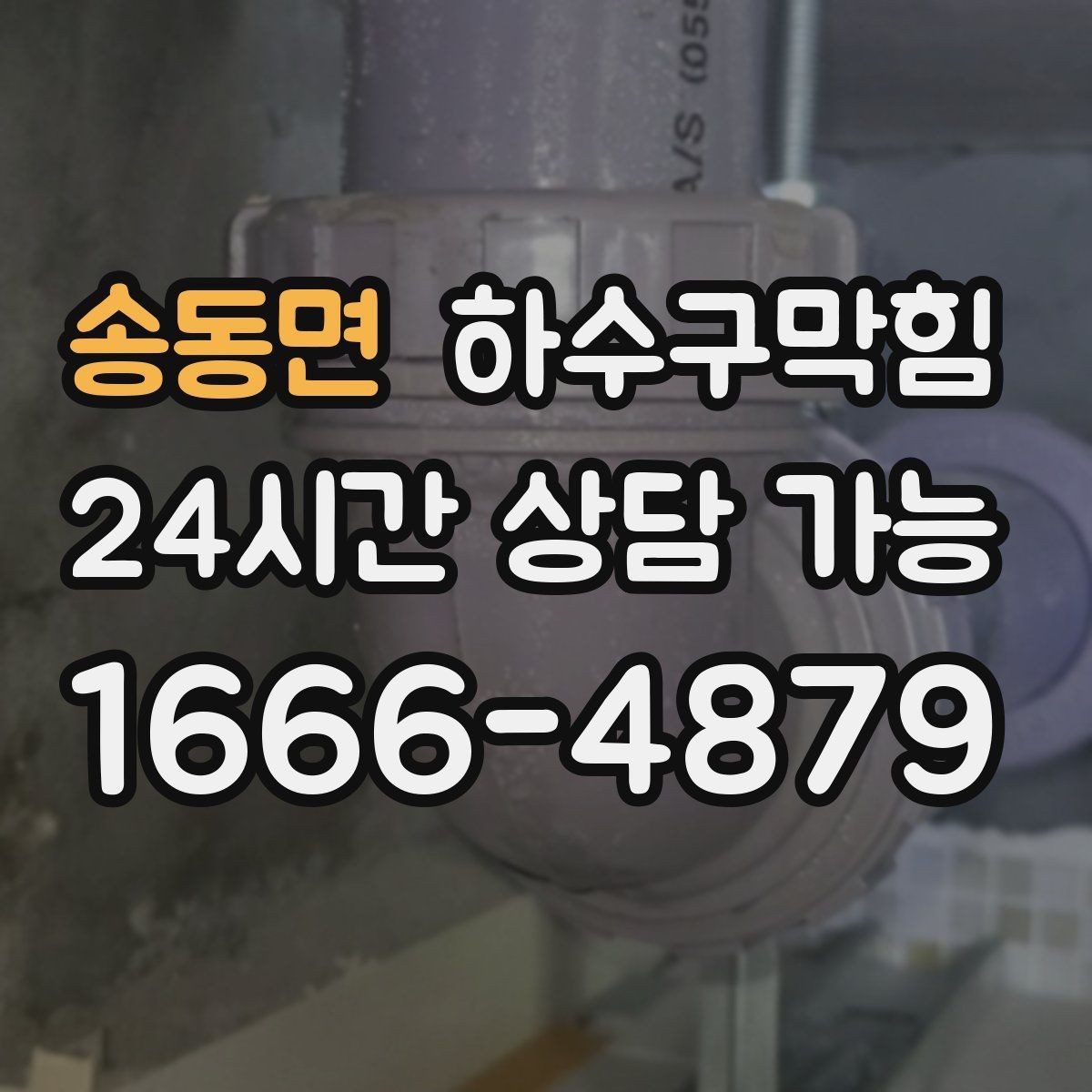 송동면 하수구막힘 직원 식당 배식대 아래의 미스터리
