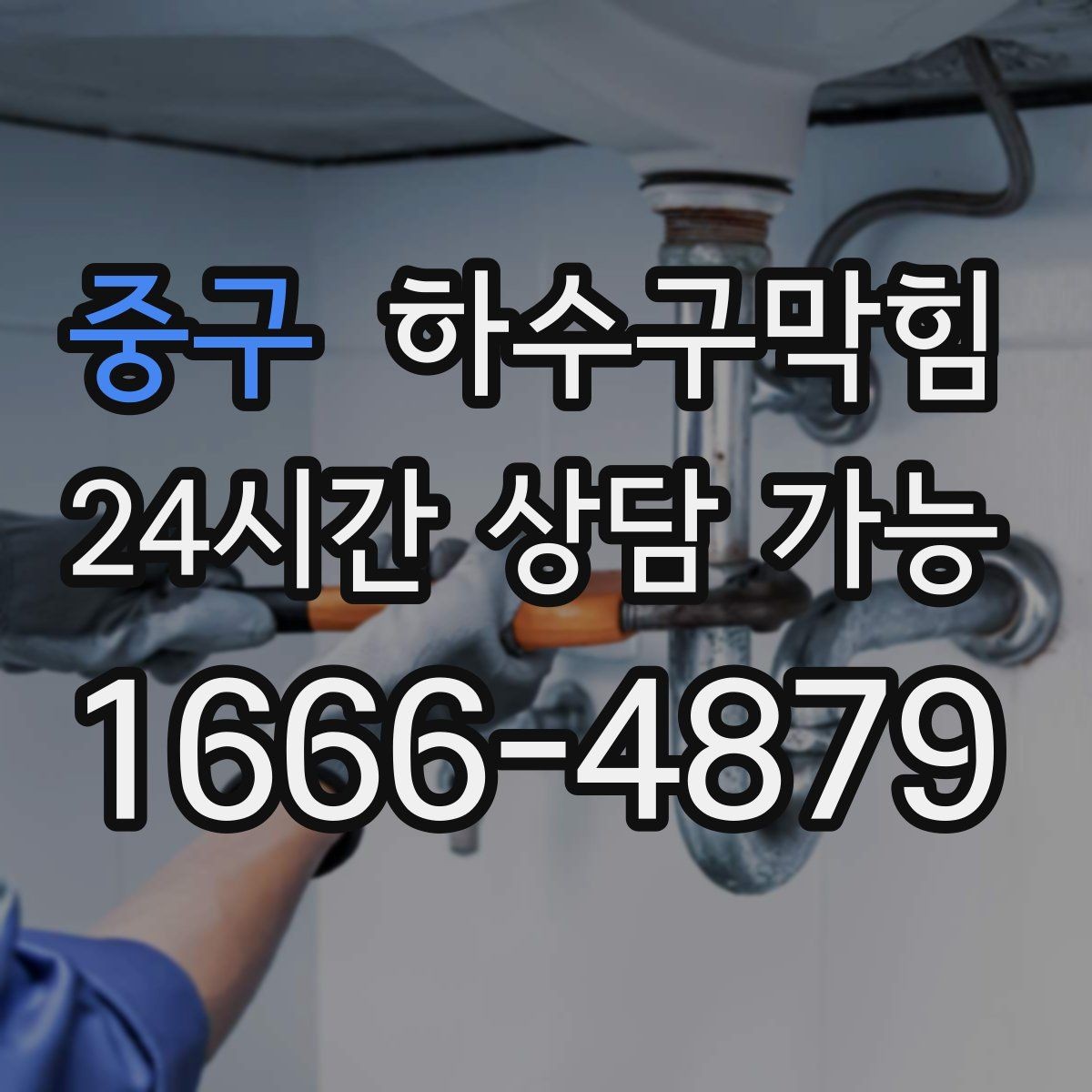 중구 하수구막힘 아파트 하수구뚫기와 복도 식물의 기지개