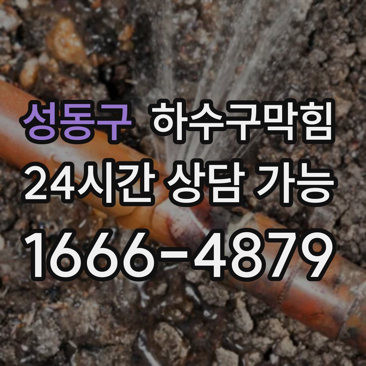 성동구 하수구막힘