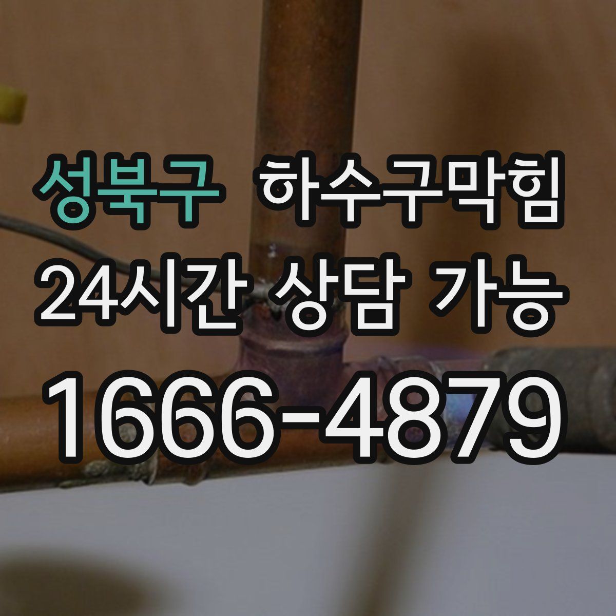 성북구 하수구막힘