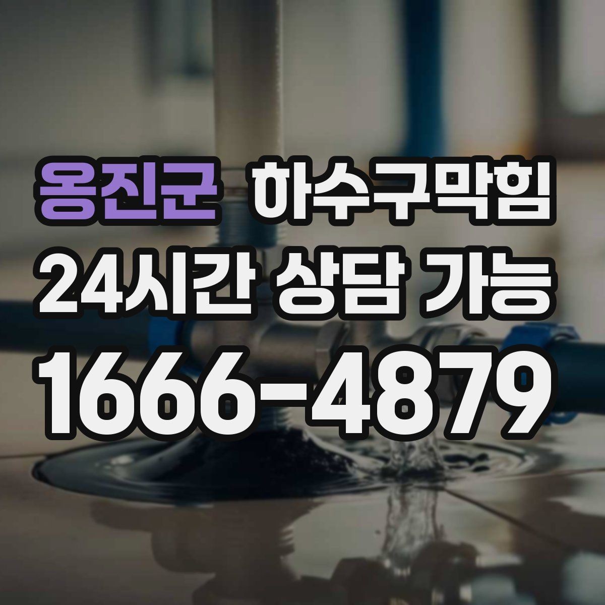 옹진군 하수구막힘 반 지하에서 위층으로 번지는 불편