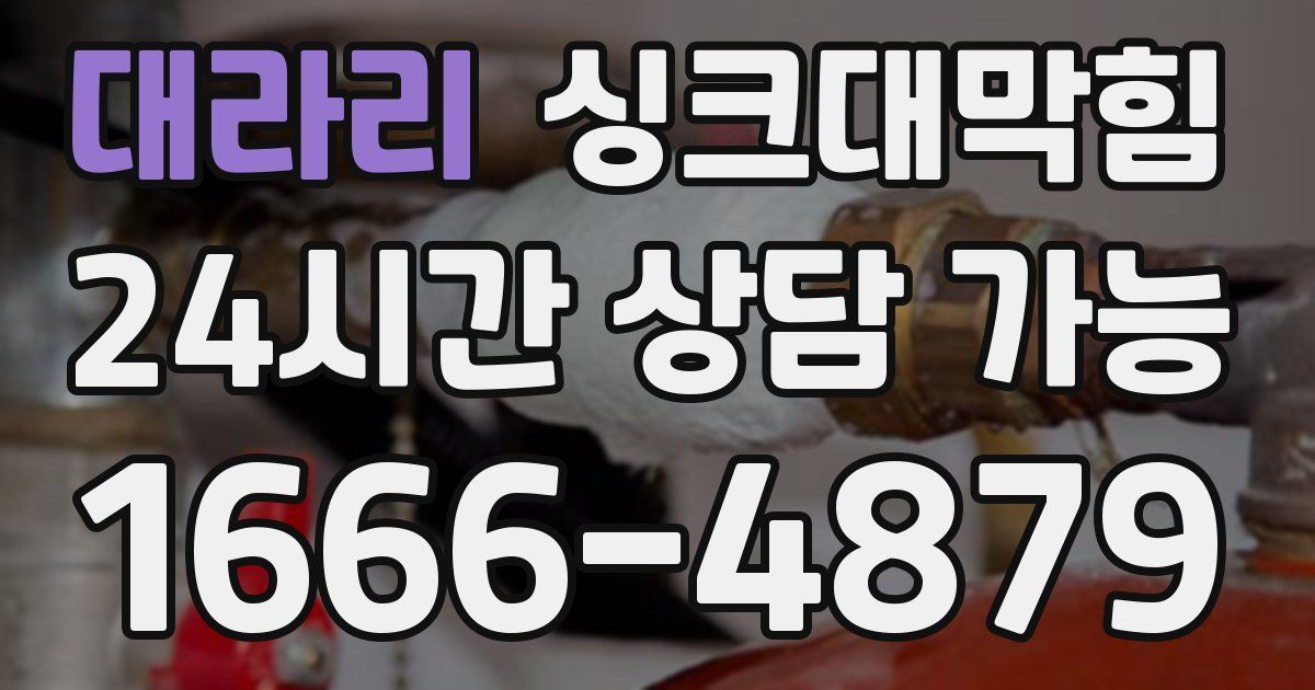 대라리 싱크대 뚫기