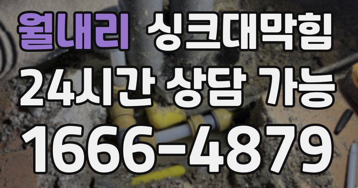 월내리 싱크대 뚫기
