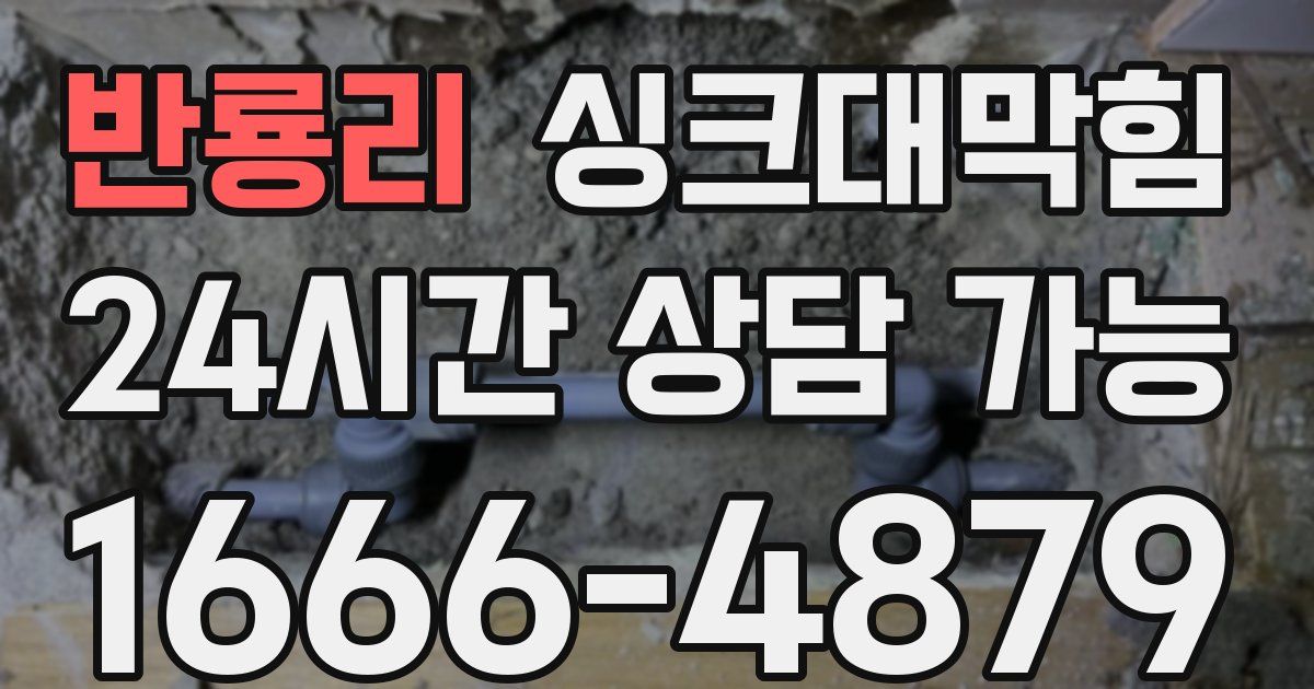 반룡리 싱크대 뚫기