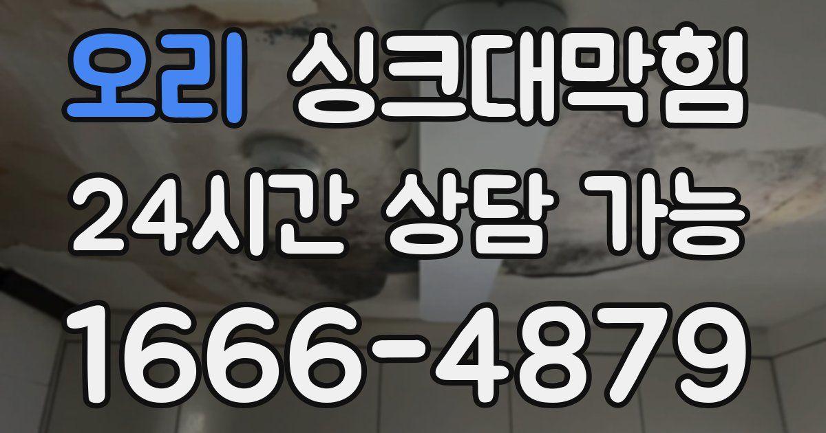 오리 싱크대 뚫기