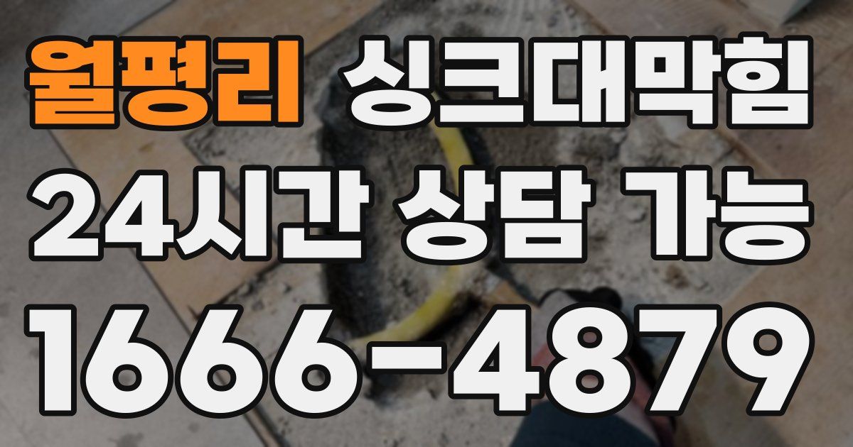 월평리 싱크대 뚫기