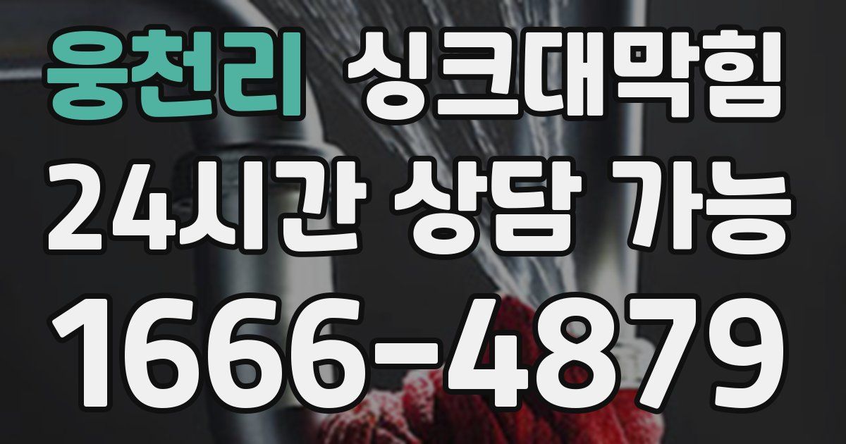 웅천리 싱크대 뚫기