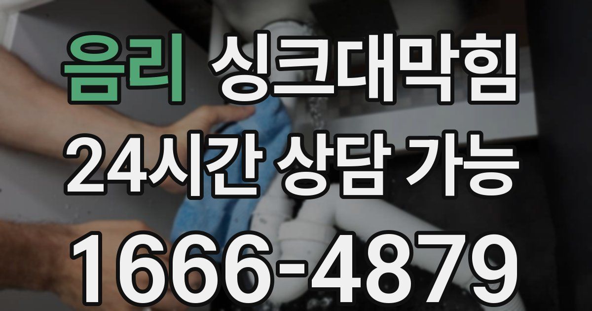 음리 싱크대 뚫기