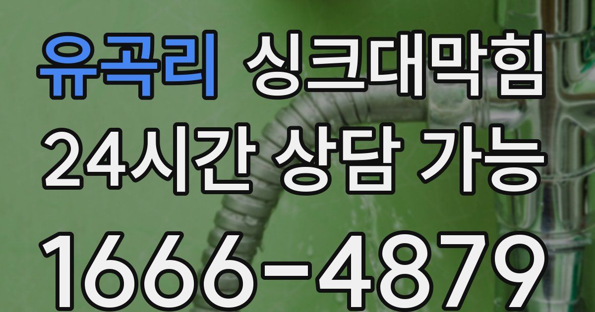 유곡리 싱크대 뚫기