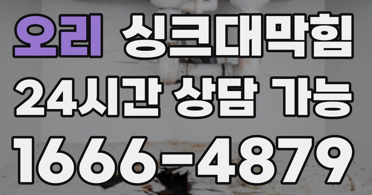 오리 싱크대 뚫기