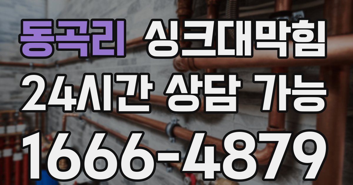 동곡리 싱크대 뚫기