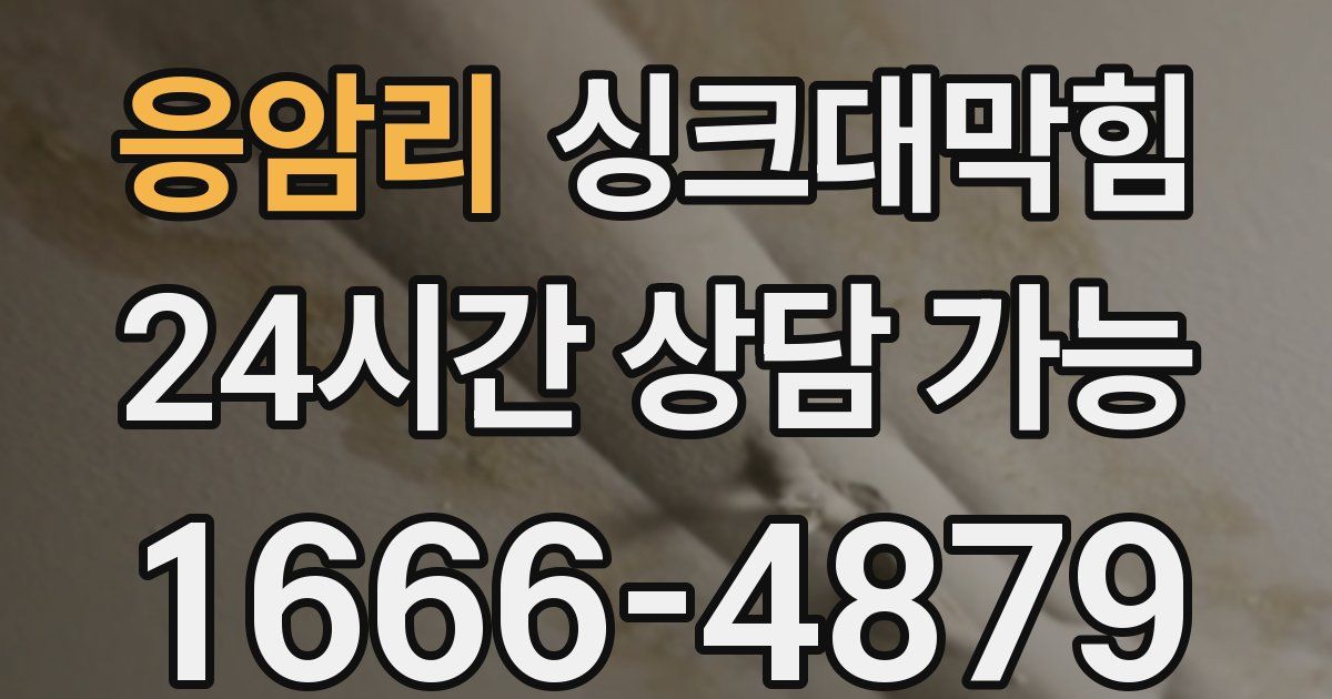 응암리 싱크대 뚫기