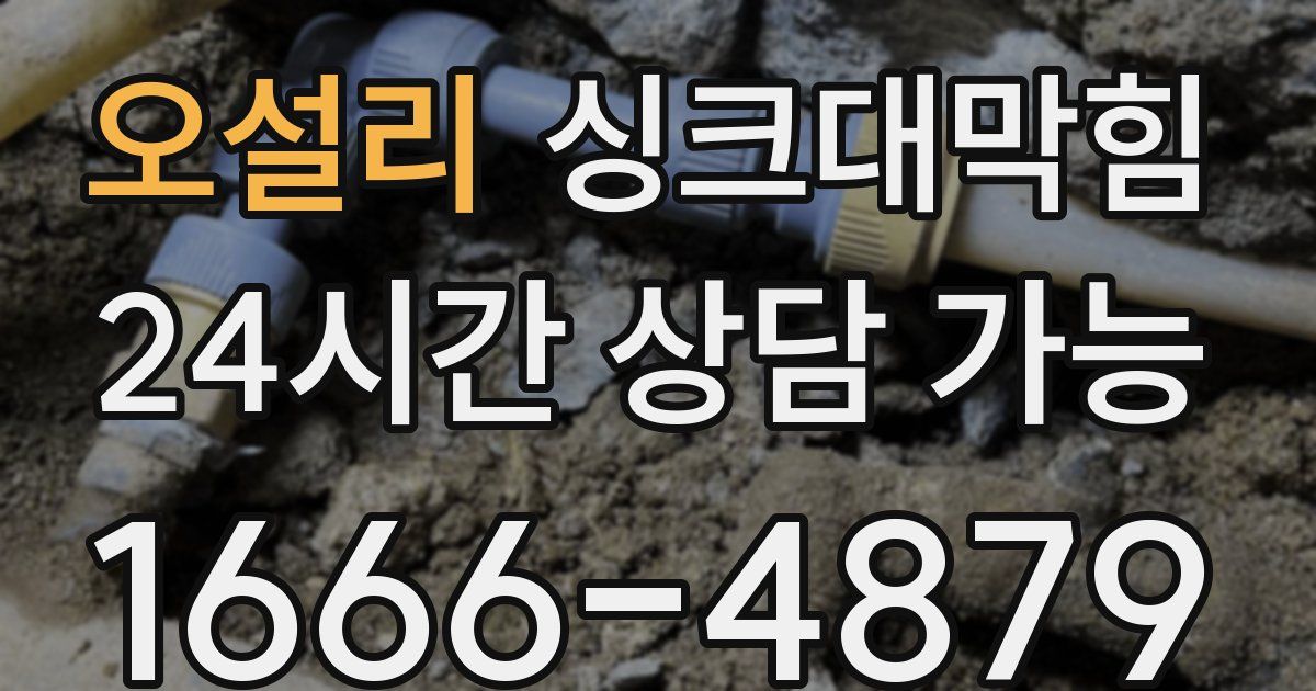 오설리 싱크대 뚫기