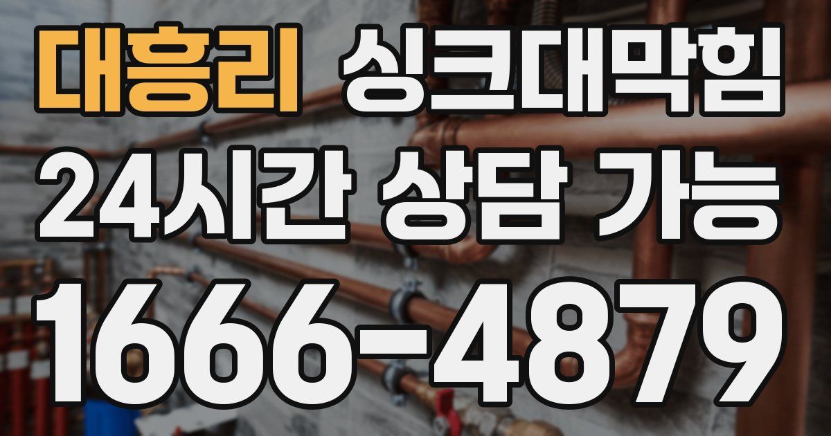 대흥리 싱크대 뚫기