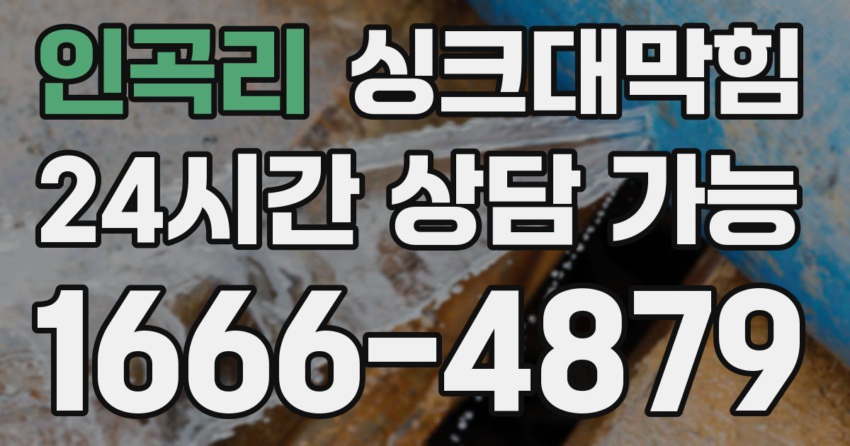 인곡리 싱크대 뚫기