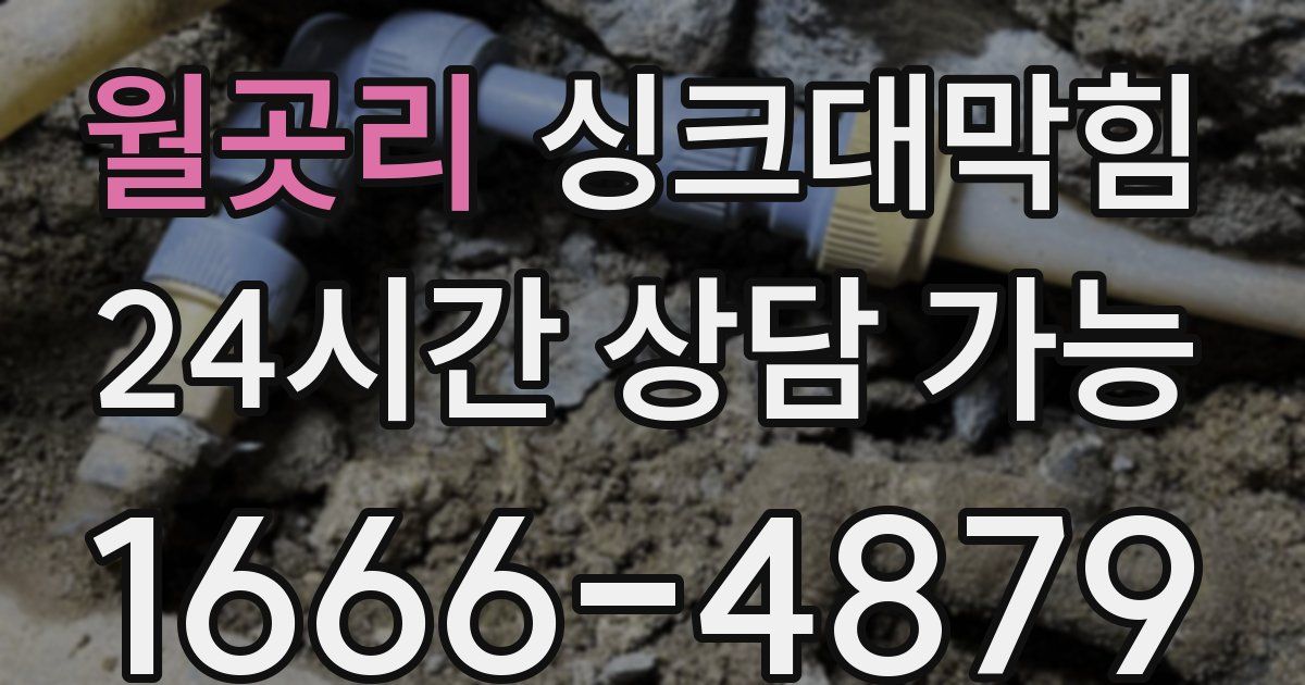 월곳리 싱크대 뚫기