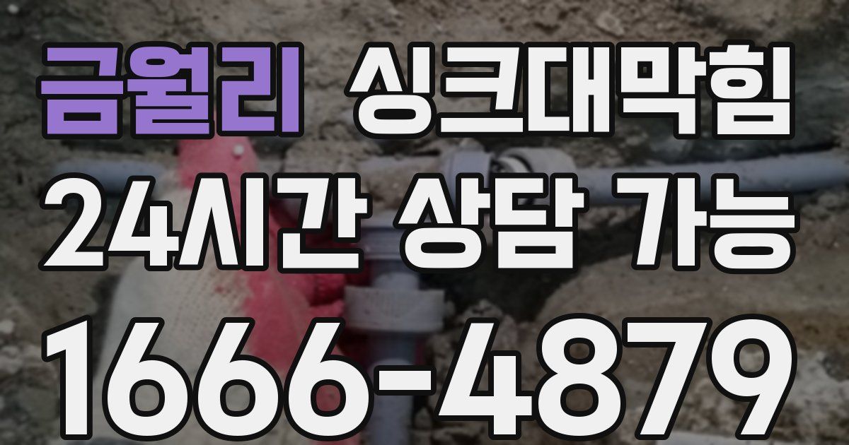 금월리 싱크대 뚫기