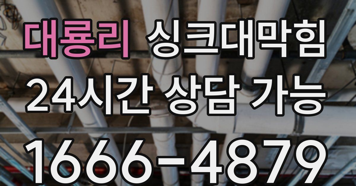 대룡리 싱크대 뚫기