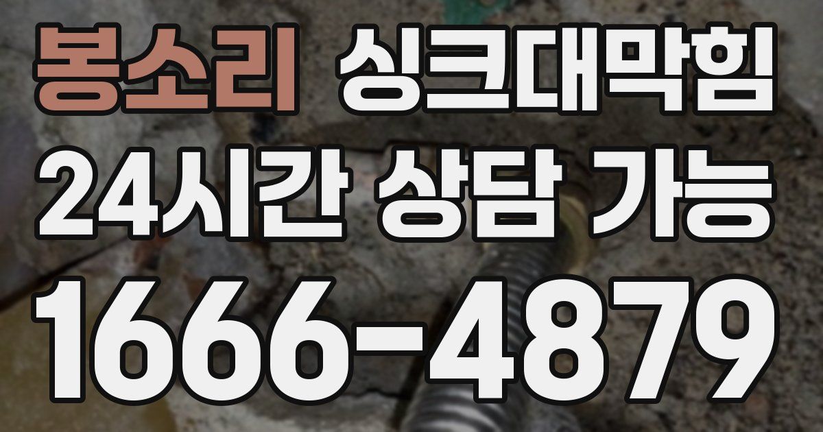 봉소리 싱크대 뚫기