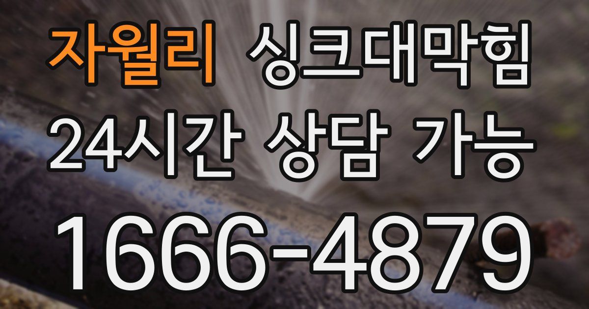 자월리 싱크대 뚫기