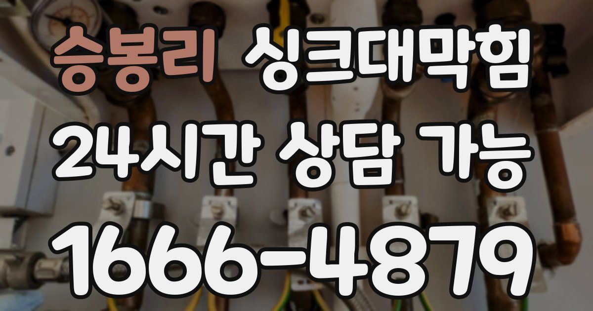 승봉리 싱크대 뚫기