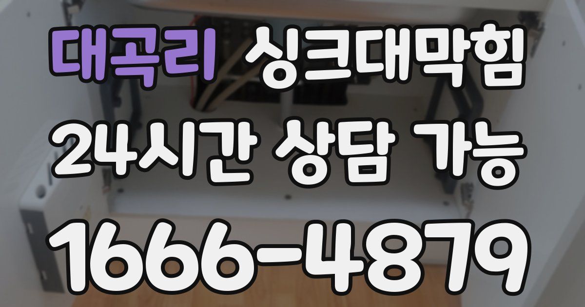 대곡리 싱크대 뚫기