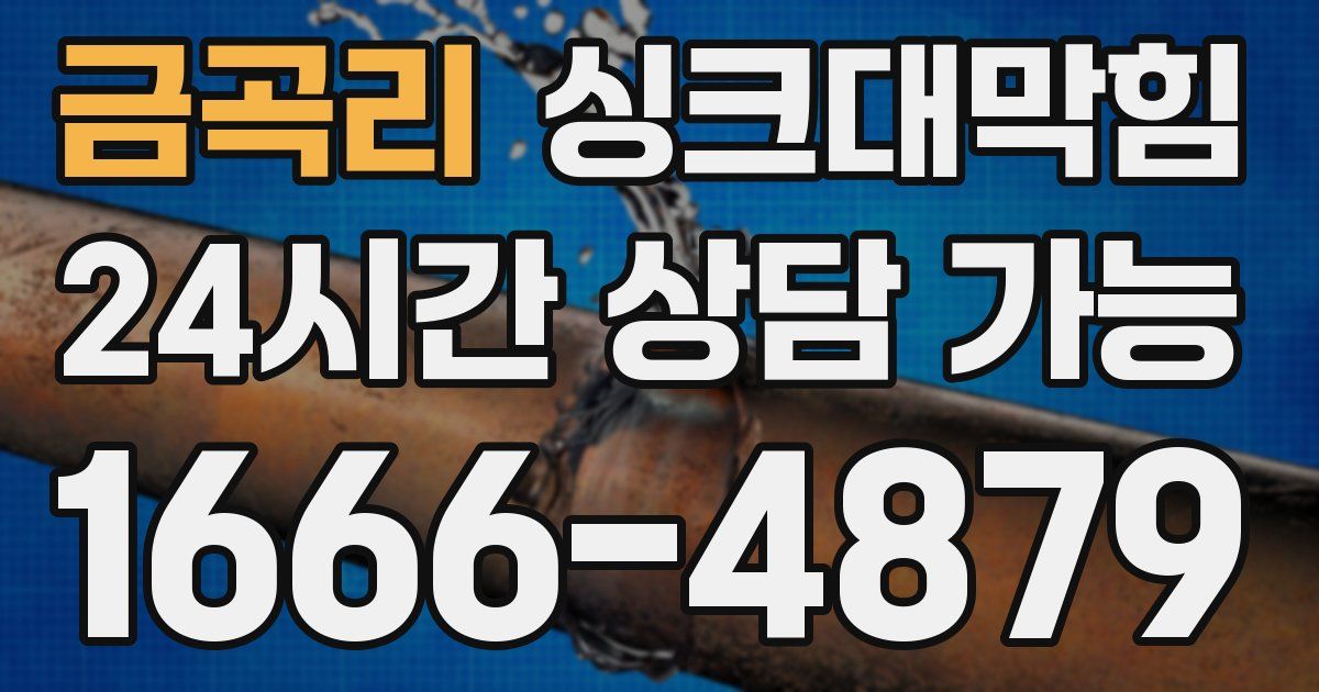 금곡리 싱크대 뚫기